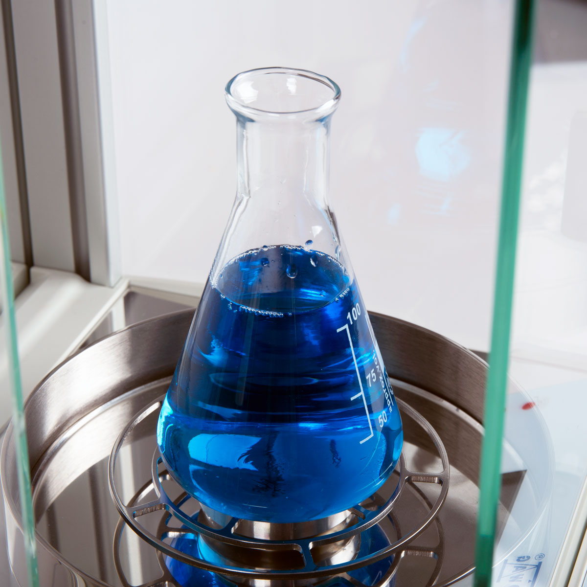 AS 82/220.R2 PLUS Analytical Balance
