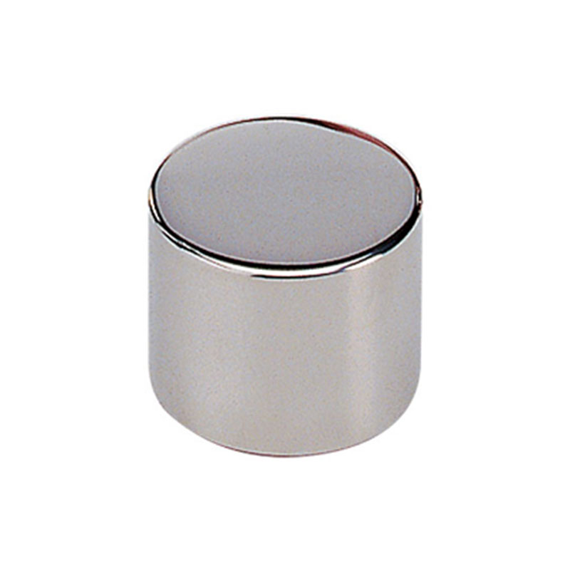 F1 Mass Standard - cylindrical weight - 20 g