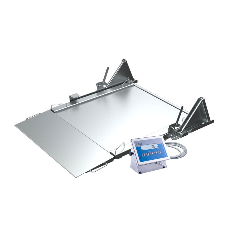 H315.4N.600.H2.LD Stainless Steel Ramp Scale