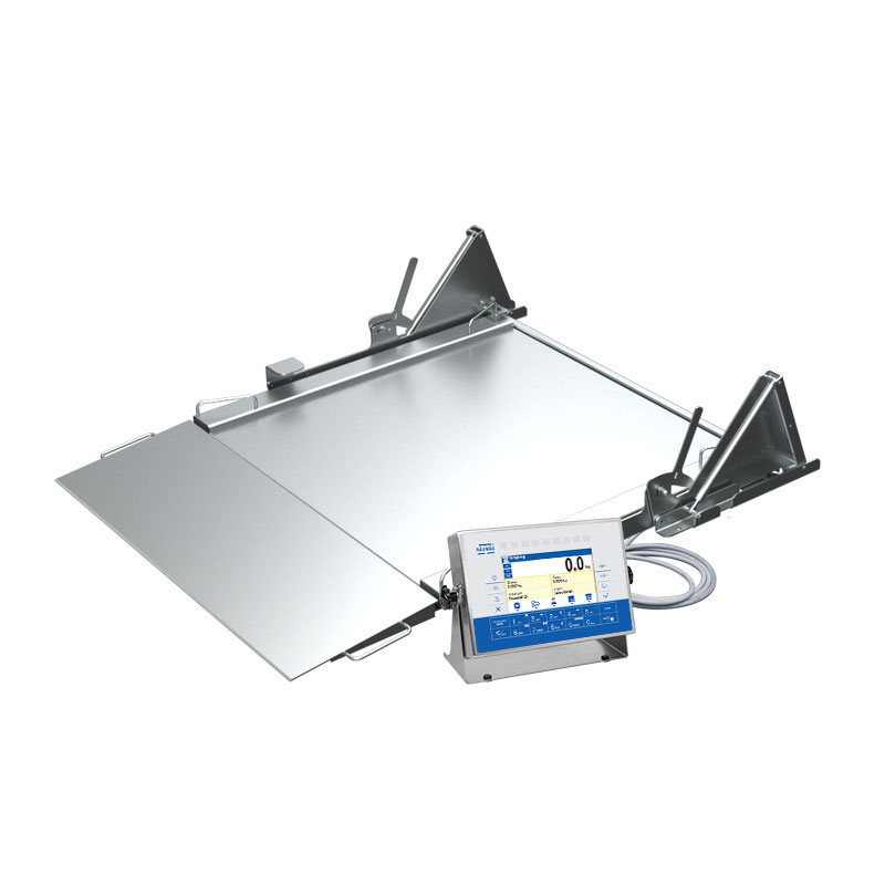 HX7.4N.300/600.H2.LD Multifunctional Stainless Steel Ramp Scale