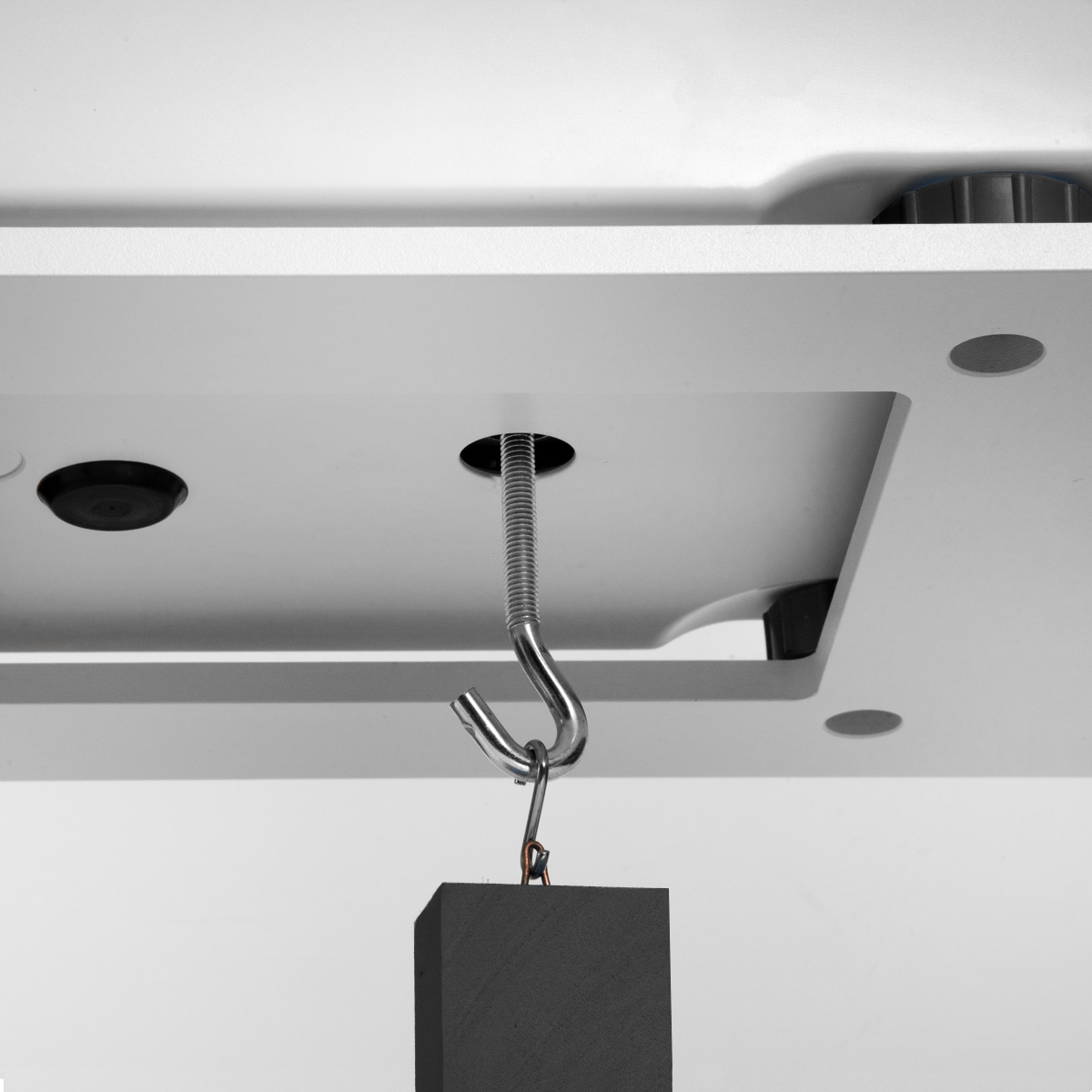 Under-Pan Weighing Hook (PM, WLC, WLY)
