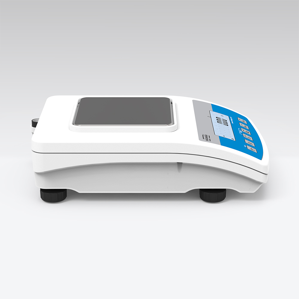 WLC 0.6/A1/C/2/IO Precision Balance
