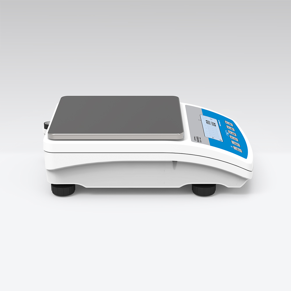 WLC 6/A2/C/2/IO Precision Balance