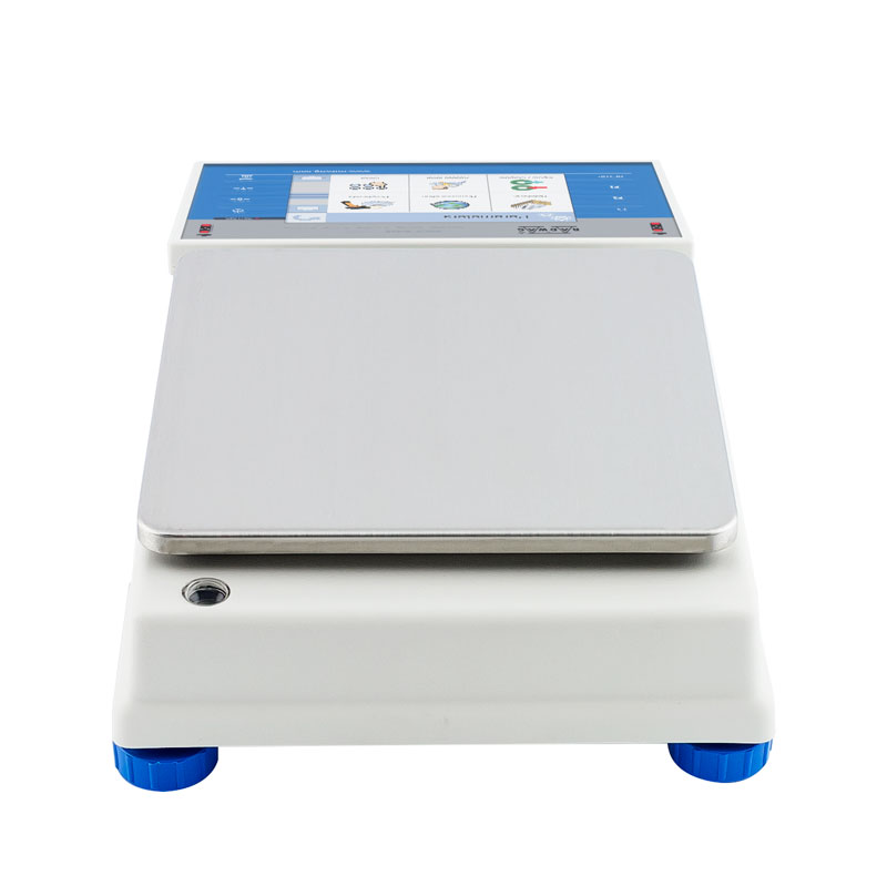WLY 1/D2 Precision Balance