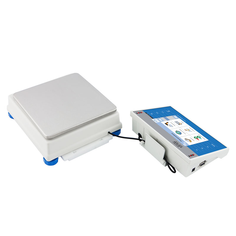 WLY 1/D2 Precision Balance