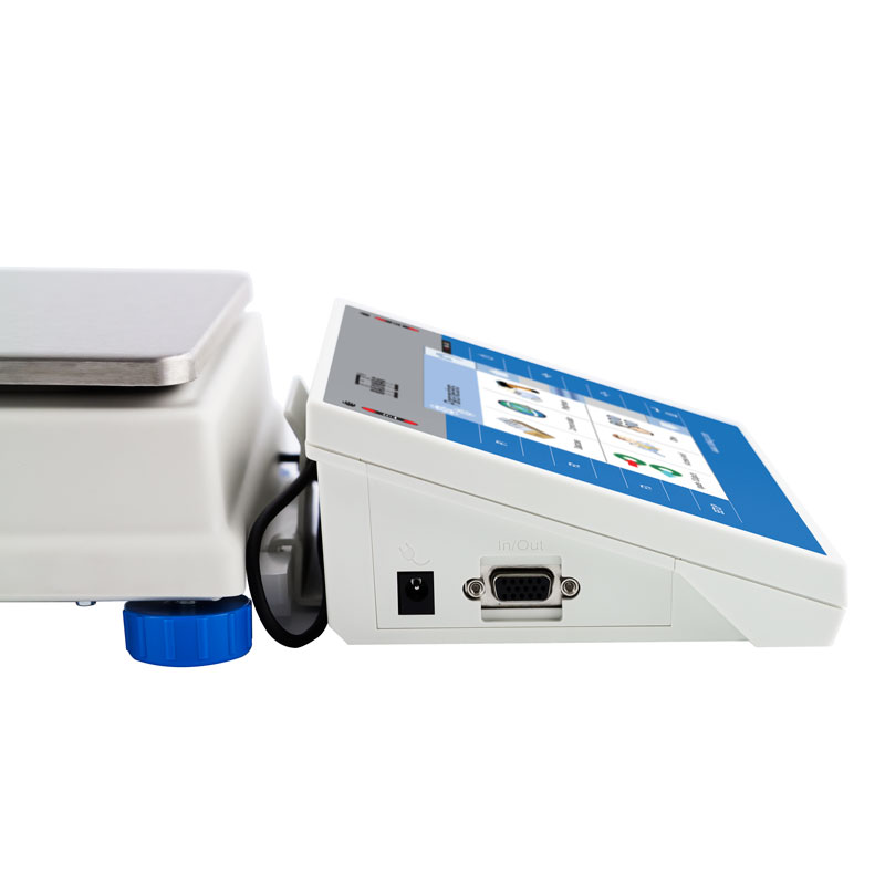 WLY 1/D2 Precision Balance