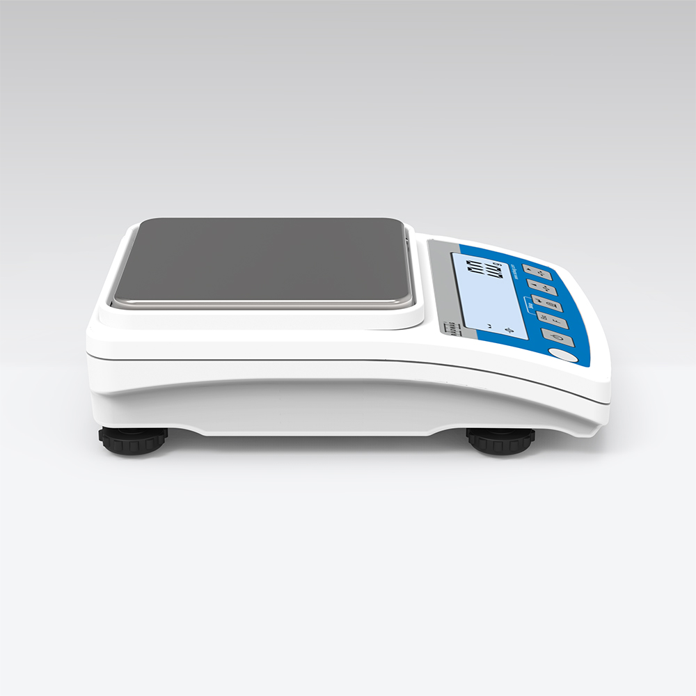 WTC 3000 Precision Balance